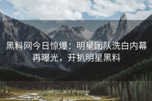 黑料网今日惊爆：明星团队洗白内幕再曝光，开扒明星黑料
