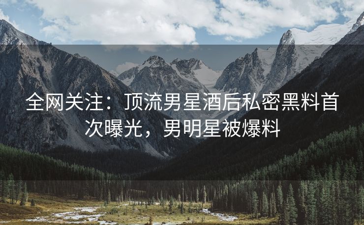 全网关注：顶流男星酒后私密黑料首次曝光，男明星被爆料