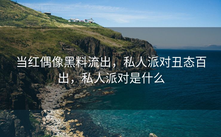 当红偶像黑料流出，私人派对丑态百出，私人派对是什么