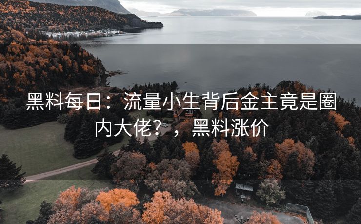 黑料每日：流量小生背后金主竟是圈内大佬？，黑料涨价