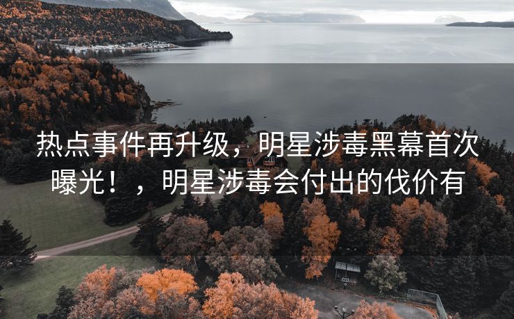 热点事件再升级，明星涉毒黑幕首次曝光！，明星涉毒会付出的伐价有