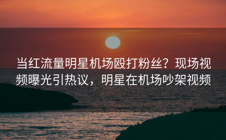 当红流量明星机场殴打粉丝？现场视频曝光引热议，明星在机场吵架视频