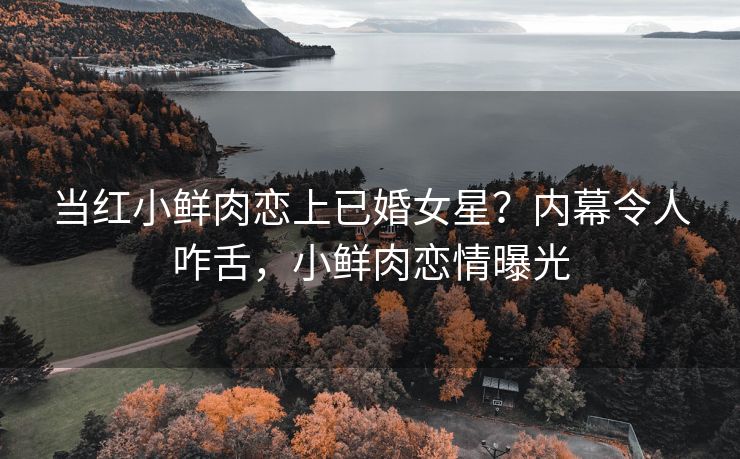 当红小鲜肉恋上已婚女星？内幕令人咋舌，小鲜肉恋情曝光